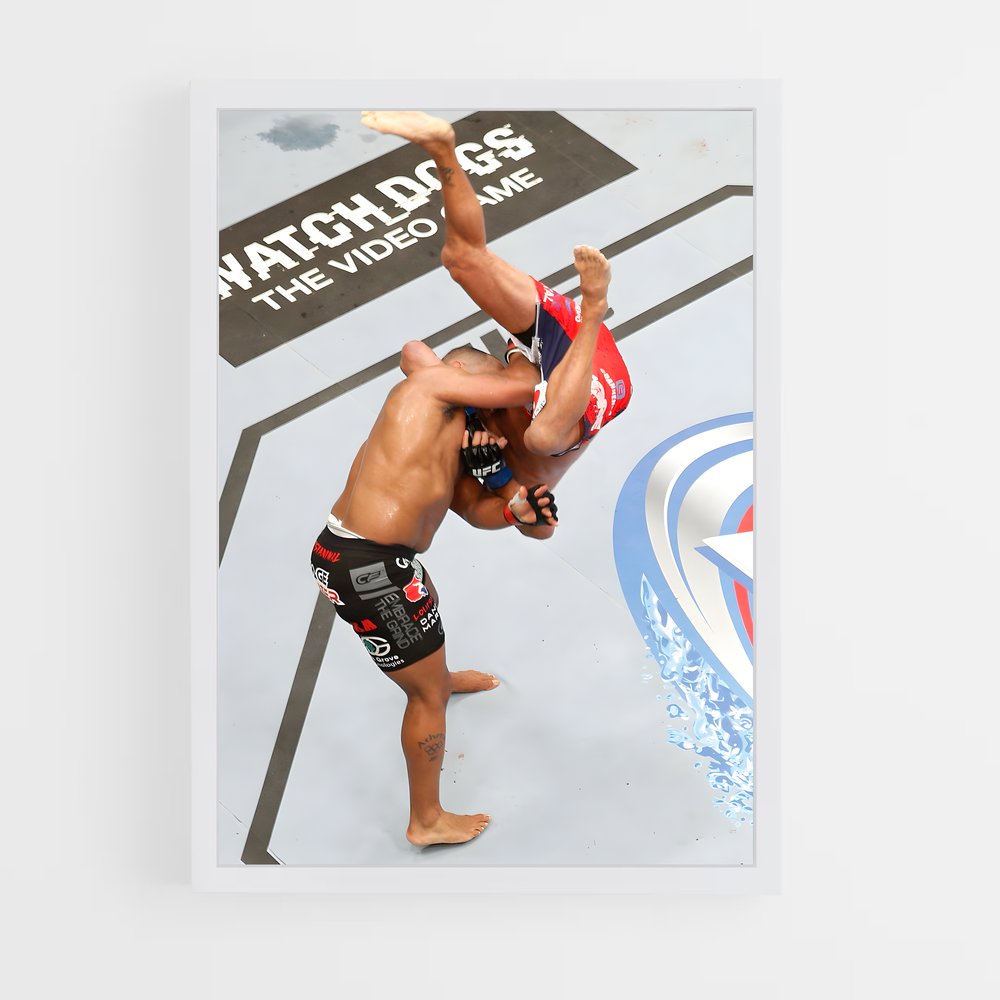 Poster Dan de henderson – affiche MMA (vue 3)